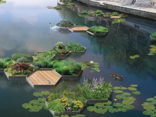 Aloé – îles flottantes pour la biodiversité dans les étangs, rivières et lacs