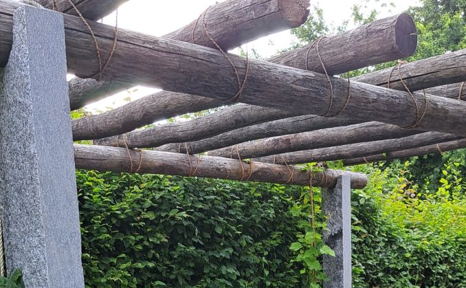 Tessiner Pergola